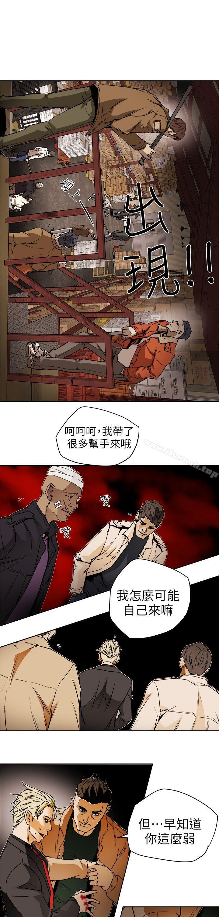 19.jpg
