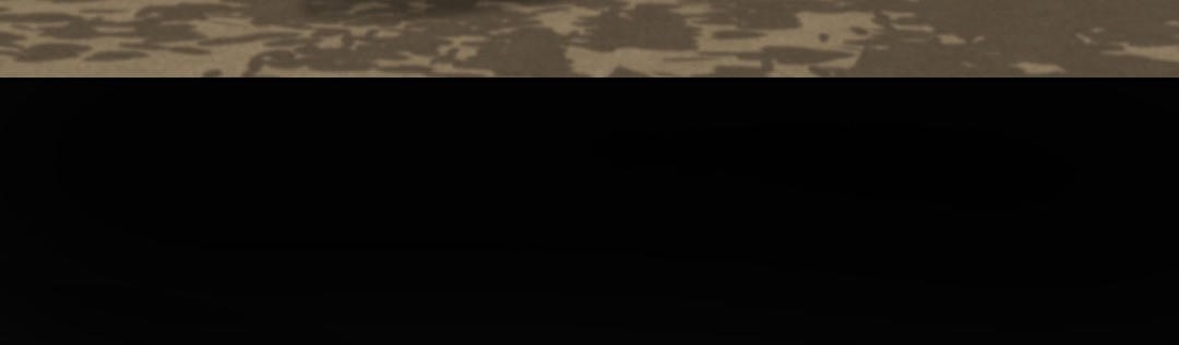 181.jpg